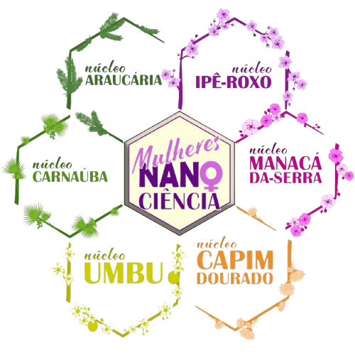 Logo da Rede Nacional de Mulheres na Nanociência